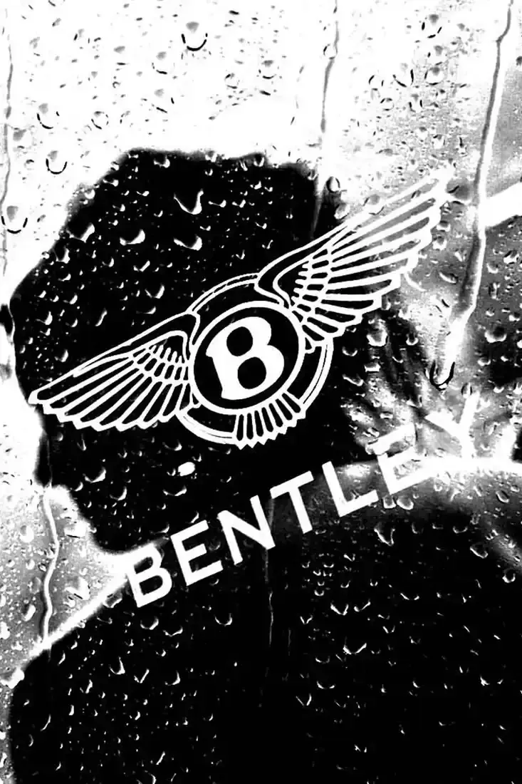 Bentley, Cambridge (photograph 4 of 6)